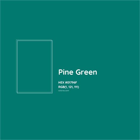 Pine Green Complementary or Opposite Color Name and Code (#01796F ...