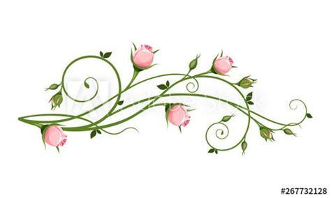 Vector decorative design element with pink rosebuds isolated on a white ...