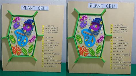 Create an Eye-Catching Cell Model Project Labeled: Perfect for Your Science Presentation!