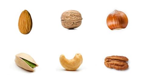 7 Tree Nuts, Ranked Using A System You Could Never Even Begin To Understand - ClickHole