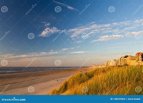 Beach in Belgium stock photo. Image of horizon, knokke - 148222966