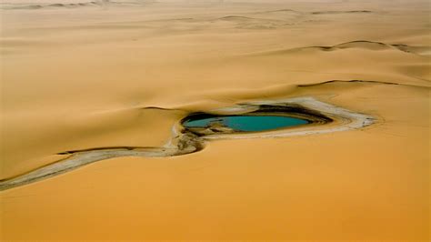 Wallpaper Africa, Niger, desert, oasis, water 1920x1200 Picture, Image