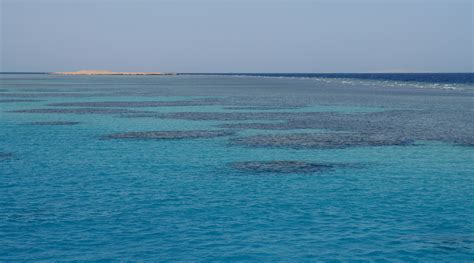 File:Coral reefs in the Red Sea.jpg - Wikimedia Commons