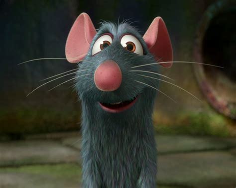 Ratatouille - Ratatouille Photo (847440) - Fanpop