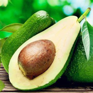 Organic Avocado Seeds Pack 10 Count - BestSeedsOnline.com - Free Shipping Worldwide