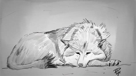 Sad Wolf Drawing at PaintingValley.com | Explore collection of Sad Wolf Drawing