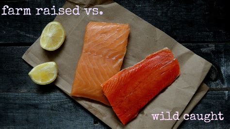 Wild Caught Salmon vs Farm Raised Salmon - Papa Earth