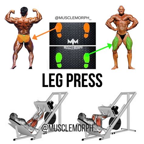 Leg Press Muscles Worked - Leg-Press Calf Presses | gymJP.com : Leg press is seated, uses ...