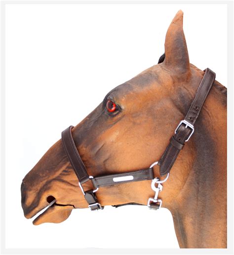 Leather Padded Headcollar – Horse Specialities