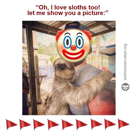 Best Sloth Memes - The Sloth Conservation Foundation