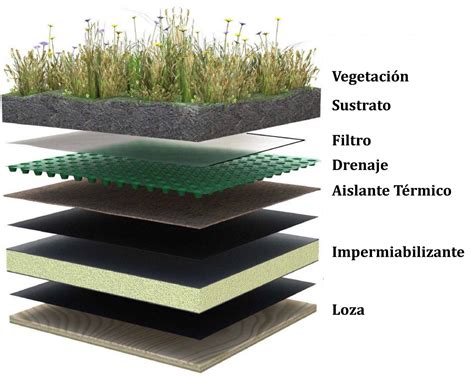 Imagen relacionada | Techos verdes, Fachada verde, Jardines verticales