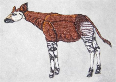 Rare Congo Okapi Okapia johnstoni Iron on Patch | Okapi, Wildlife conservation, Rare