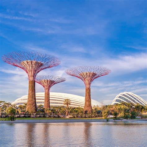 Gardens by the Bay | Singapore Sky Garden - Visit Singapore Official Site