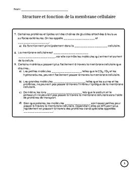 Exercice: Structure et fonction de la membrane cellulaire by Emilie ...