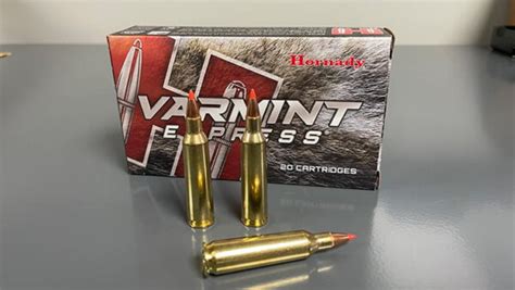 22-250 Remington | The Perfect Varmint and Small Game Round