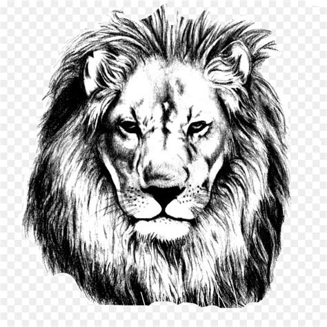 Free Lion Head Transparent, Download Free Lion Head Transparent png images, Free ClipArts on ...