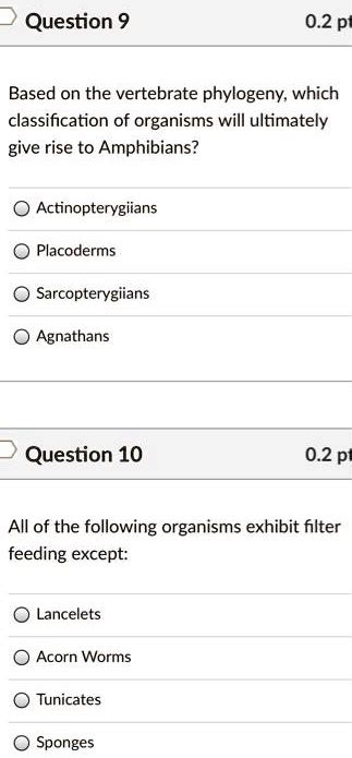 SOLVED: Question 9 Based on the vertebrate phylogeny, which classification of organisms will ...