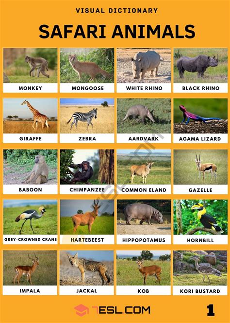 Safari Animals Names with Facts • 7ESL