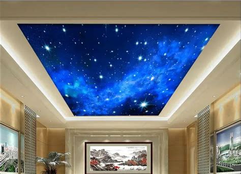 Ceiling Murals Night Sky