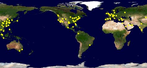 These Are The World’s Busiest Airports In July 2023