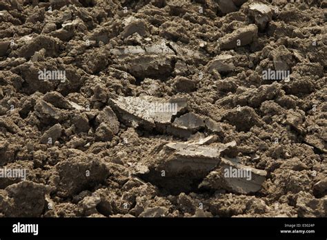 Loamy Soil Stock Photo: 71916454 - Alamy