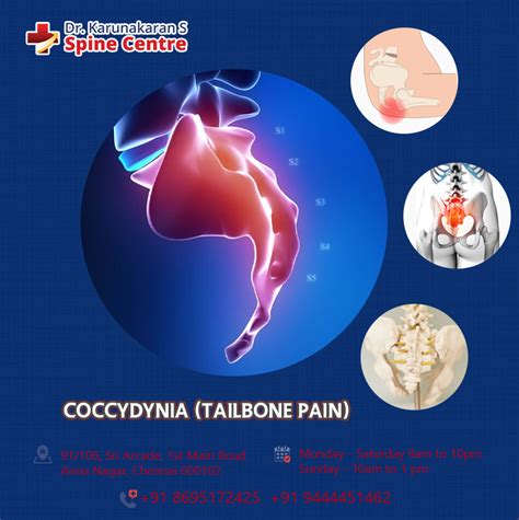 Coccydynia: Overview, Causes, and Treatment - Best Spine Specialist In Chennai | Dr Karunakaran ...