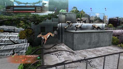 Tokyo Jungle screenshots - Gematsu