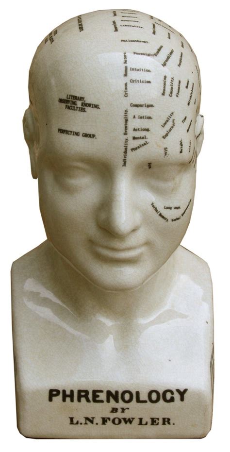 Phrenology is from Ancient Greek meaning 'knowledge'. It is a ...