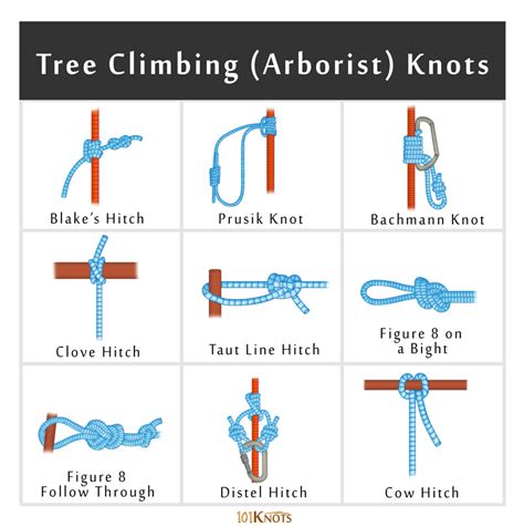 Rock and Tree Climbing Knots: Basic Guide with List