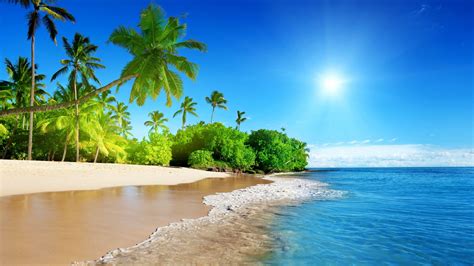 Sunshine Beach Wallpapers - Top Free Sunshine Beach Backgrounds - WallpaperAccess