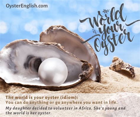 Idiom: The world is your oyster (Meaning & examples)