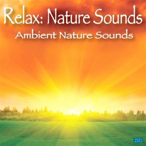 Healing Native American Flute and Relaxing Music by Relax: Nature Sounds on Amazon Music ...