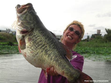 Allen's Taxidermy: The World Record Largemouth Bass