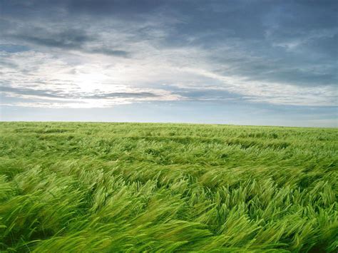 Wind Blowing Across Fields of the Heart | Landscape wallpaper, Beautiful nature, Landscape