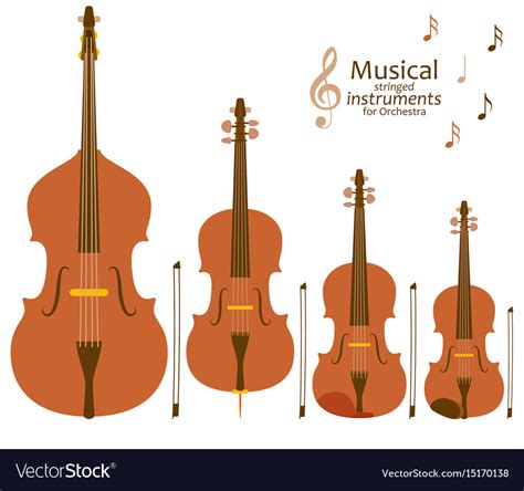 Musical stringed instruments for orchestra Vector Image