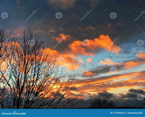 Beautiful and Colorful Sunset with Tree Branches Silhouette Stock Photo - Image of dawn, horizon ...