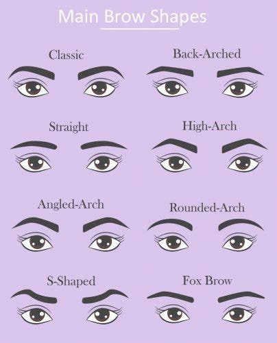 Common Eyebrow Shapes: How to Find Your Perfect Brow Shape | Perfect eyebrow shape, Eyebrow ...