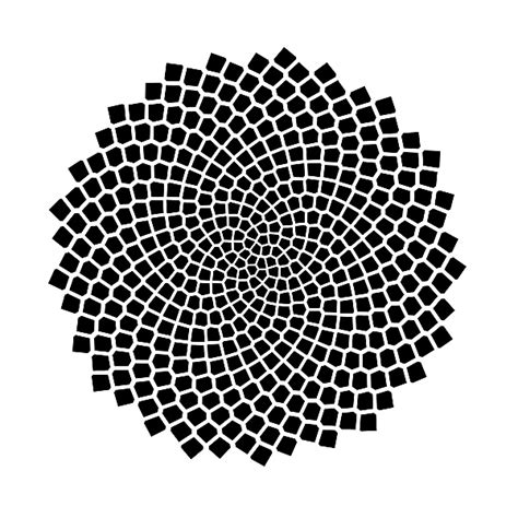 Fibonacci Numbers of Sunflower Seed Spirals – National Museum of Mathematics