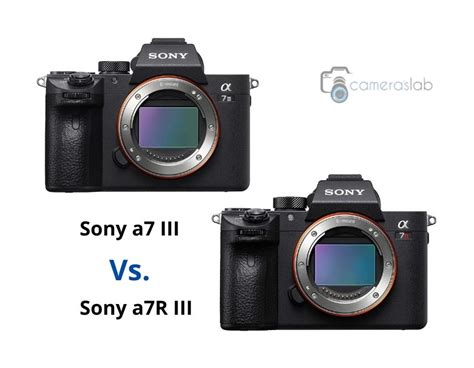 Sony a7 III vs a7R III - Learn Why Sony a7III is Best!