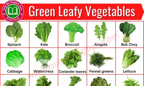 Green Leafy Vegetables Name in English with Pictures » Onlymyenglish.com