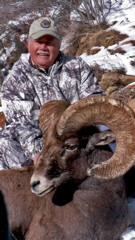 Bighorn Sheep Hunting Guides – Horn Fork Guides