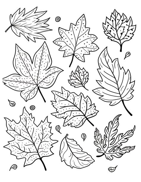 Fall Leaves Coloring Pages For Kindergarten - Infoupdate.org