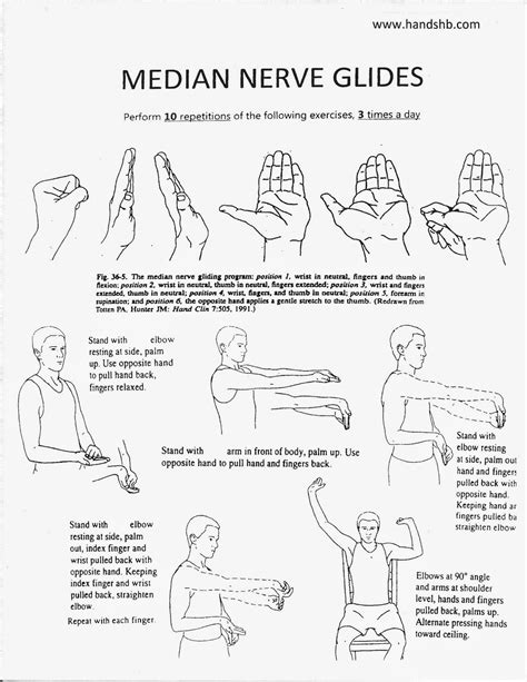 Radial Nerve: Radial Nerve Gliding Exercises Handout