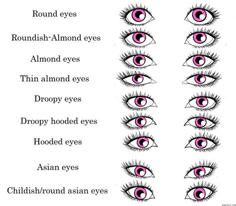 Types of eye shapes - salocentric