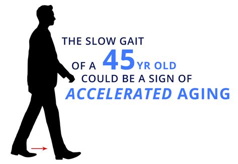 Association of Neurocognitive and Physical Function With Gait Speed in Midlife | Duke Moffitt ...