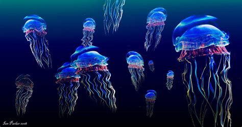 Jellyfish HD Wallpapers - Top Free Jellyfish HD Backgrounds ...