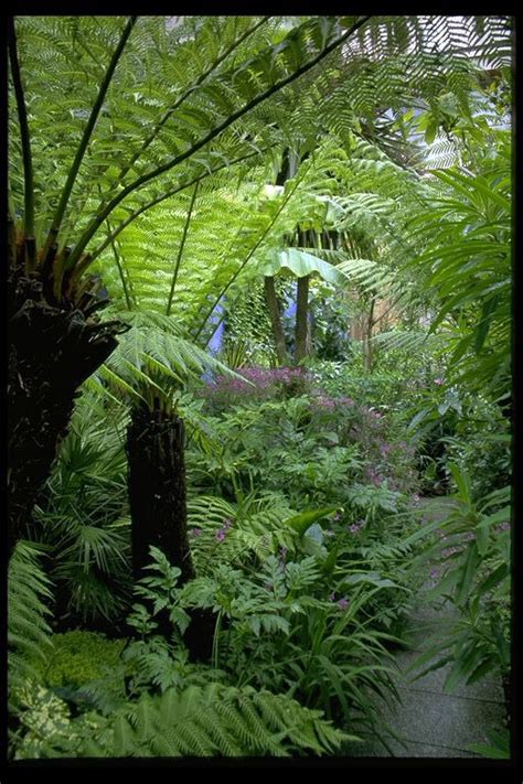 Merrion Square Garden – Bernard Hickie | Garden and Landscape Design