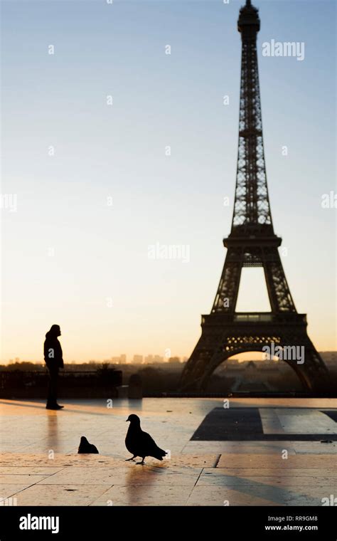 Sunrise at Eiffel Tower Stock Photo - Alamy