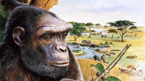 Our oldest ancestor walked upright 7 million years ago, a new study ...