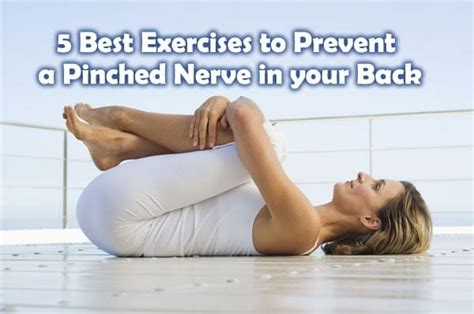 5 Best Exercises to Prevent a Pinched Nerve in your Back ...